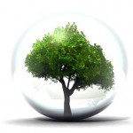environnement / écologie