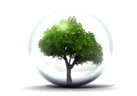 environnement / écologie