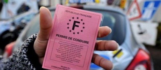 permis de conduire