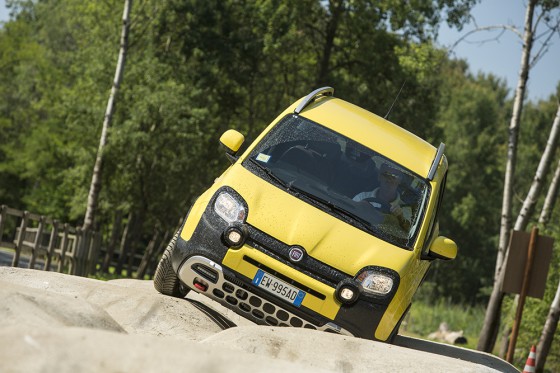 Panda Cross