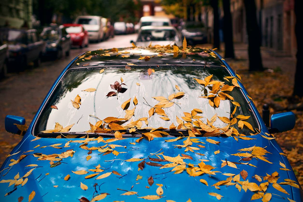 La concentration lors des déplacements en voiture