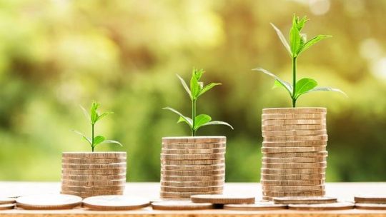 Économie et écologie